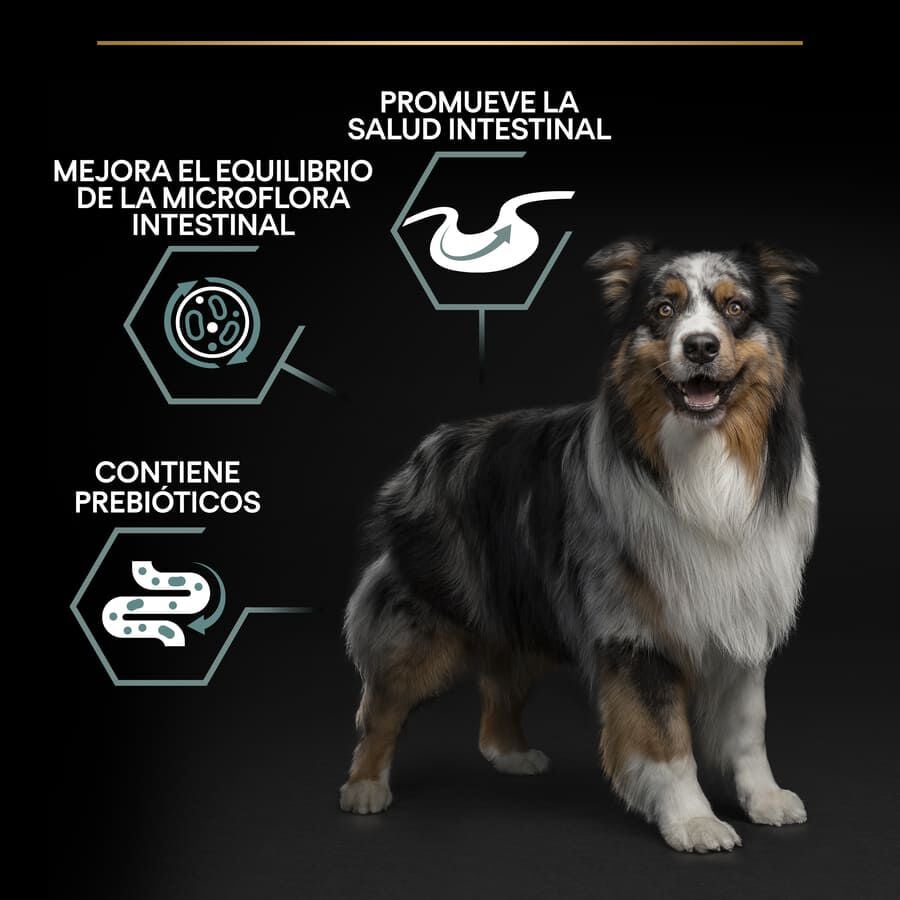 16.5 kg (14 + 2.5 kg &iexcl;gratis!) Pro Plan Adult Medium Digesti&oacute;n Cordero pienso para perros, , large indicador imagen numero 3
